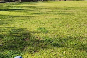 Adair Park I