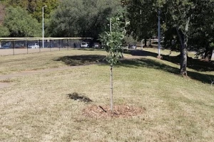 Adair Park II