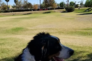Aldergate Dog Park, Valley-Wide Recreation and Park District