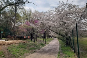 Chastain Memorial Park