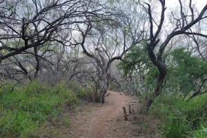 City Of Mission Hike and Bike Trail Park Entrance
