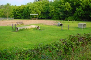 Jean & Carl Frank Canine Park