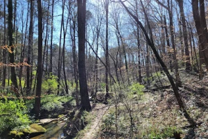 Kittredge Park