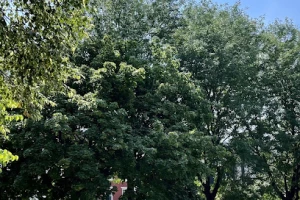 Konrad Square
