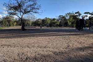 Nate's Point Dog Park