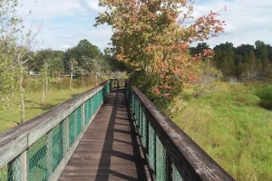 South Lake Howard Nature Park