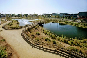 South Los Angeles Wetlands Park