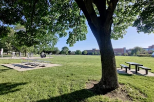 Tolan Park