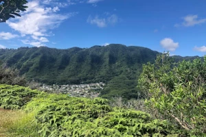 Trailhead for Kolowalu and Puʻu Pia Trails