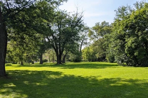 Voigt Park