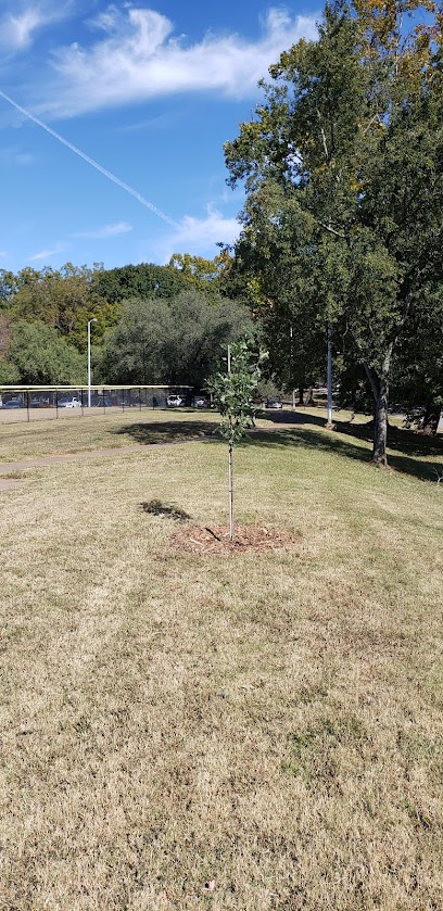 Adair Park II