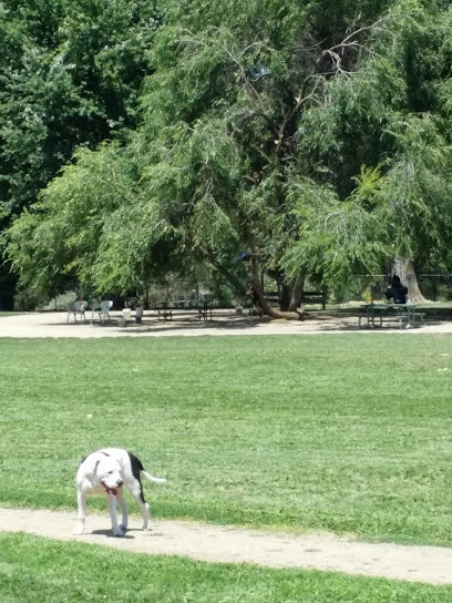 Bear Creek Dog Park (Medford, OR)