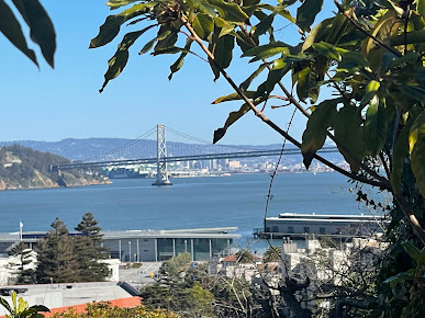Jack Early Park 8