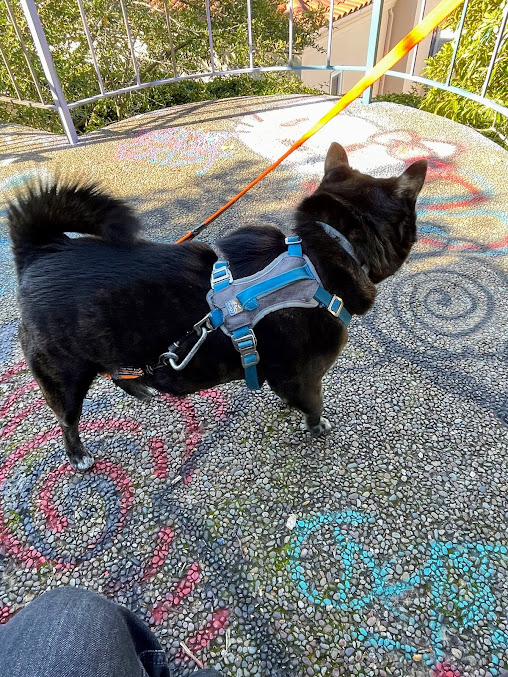 Jack Early Park 9