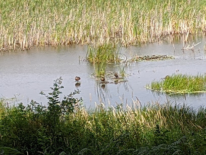 John C Pointner Memorial Wildlife Sanctuary Trail