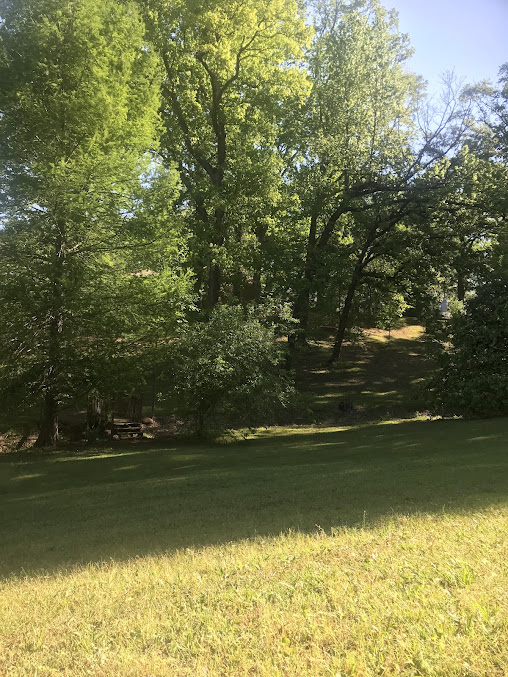 Knight Park 17