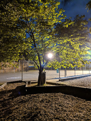 Knight Park 3