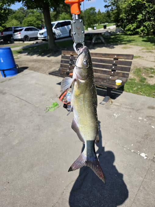 Mariner Park 12