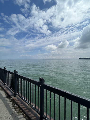 Mariner Park 17