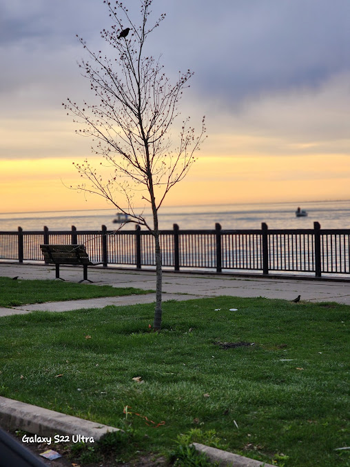 Mariner Park 2