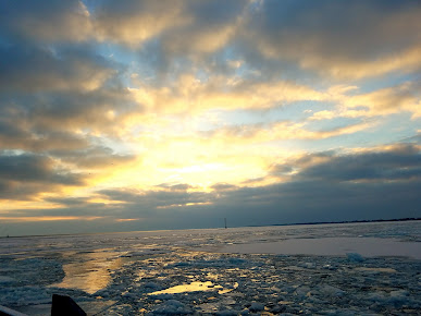 Mariner Park 6