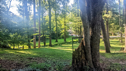 McClatchey Park