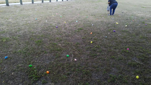 McDugald Park 12
