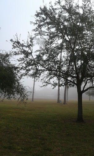 McDugald Park 15