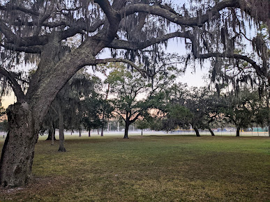 McDugald Park 18