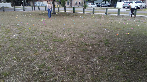 McDugald Park 2