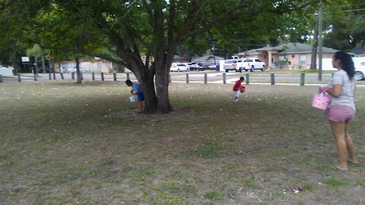 McDugald Park 9