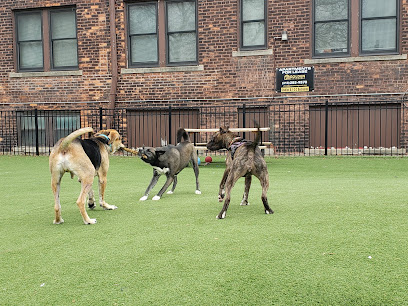 Midtown Dog Park